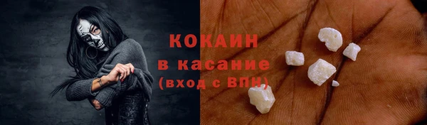 индика Весьегонск