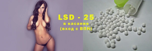 дмт Алзамай