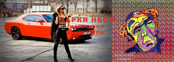 дмт Алзамай