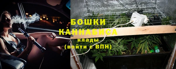 PSILOCYBIN Алексин