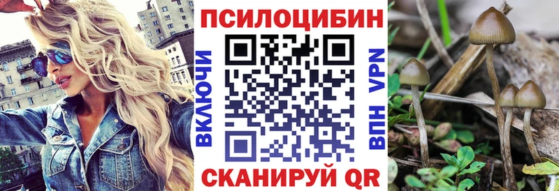 Псилоцибиновые грибы Psilocybine cubensis  Зубцов 
