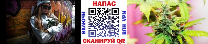 Канабис план  Зубцов 